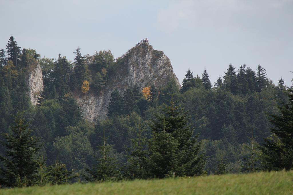 Willa Familiówka Mizerna Zewnętrze zdjęcie